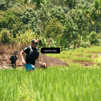 Runner Photo 5185284