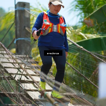 Runner Photo 5185300