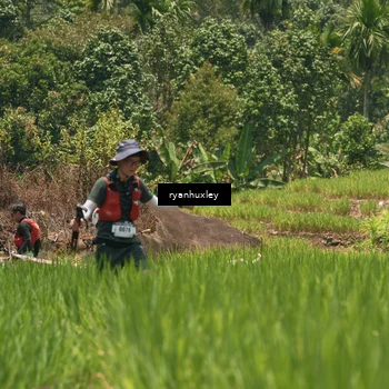 Runner Photo 5185505