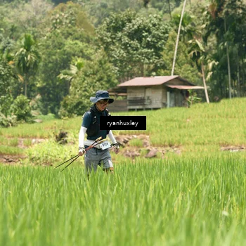 Runner Photo 5185520