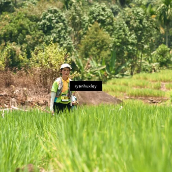 Runner Photo 5185611