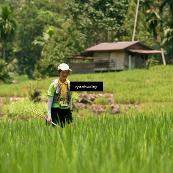 Runner Photo 5185625