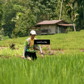 Runner Photo 5185628