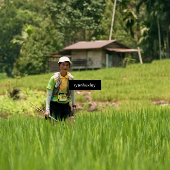 Runner Photo 5185635