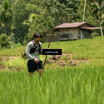 Runner Photo 5185845