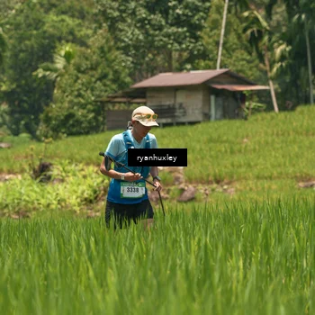 Runner Photo 5185854