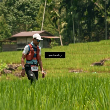 Runner Photo 5185965