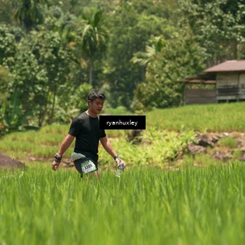 Runner Photo 5186153