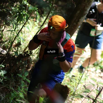 Runner Photo 5187694