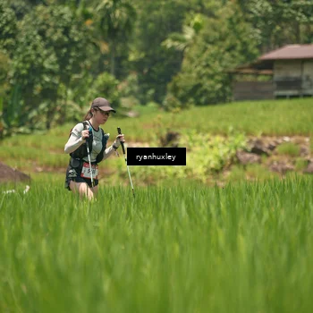 Runner Photo 5187699