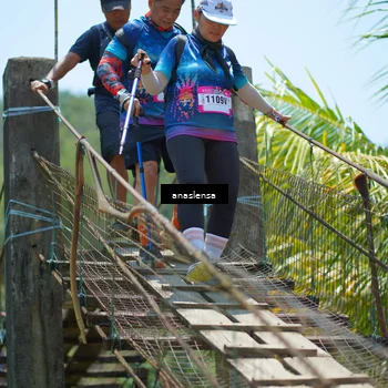 Runner Photo 5187841