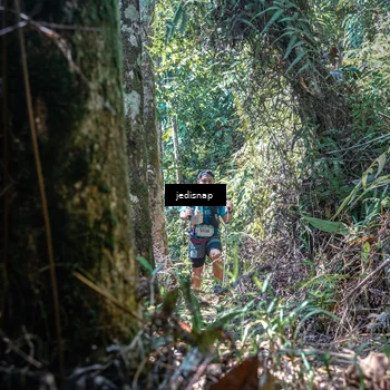 Runner Photo 5189214