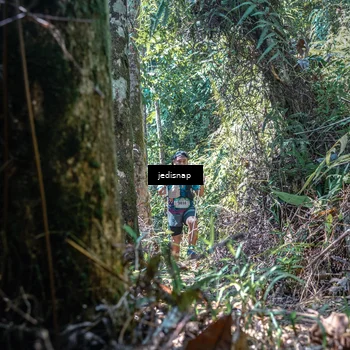 Runner Photo 5189251