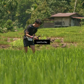 Runner Photo 5189470