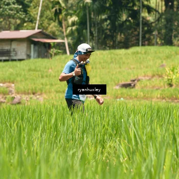 Runner Photo 5189683