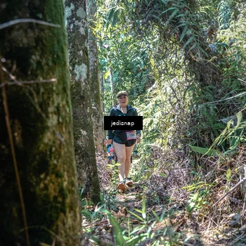 Runner Photo 5189732