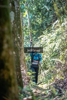 Runner Photo 5190623