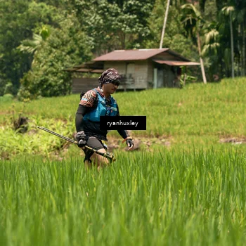 Runner Photo 5190699