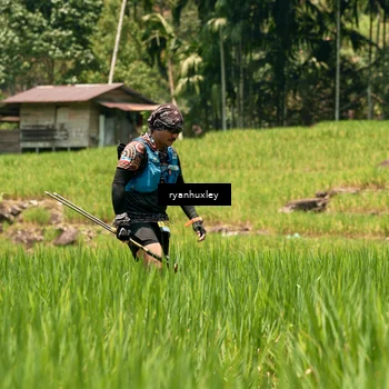 Runner Photo 5190716