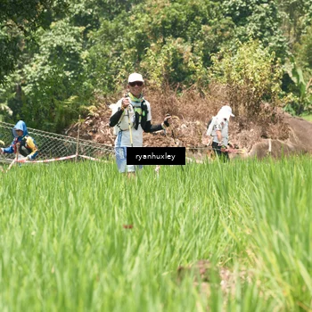 Runner Photo 5190965