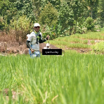 Runner Photo 5190966