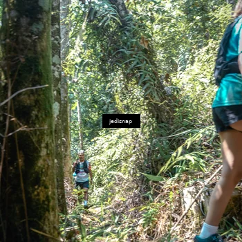 Runner Photo 5191078
