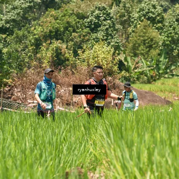 Runner Photo 5191377