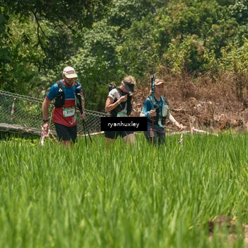 Runner Photo 5191543