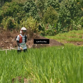 Runner Photo 5191958