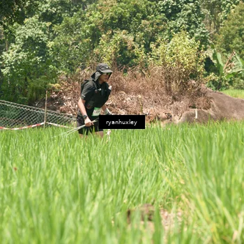 Runner Photo 5192596