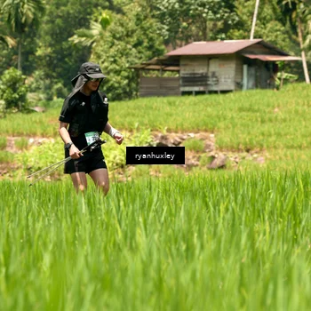 Runner Photo 5192653