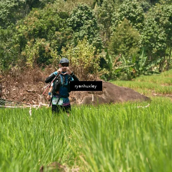 Runner Photo 5193206