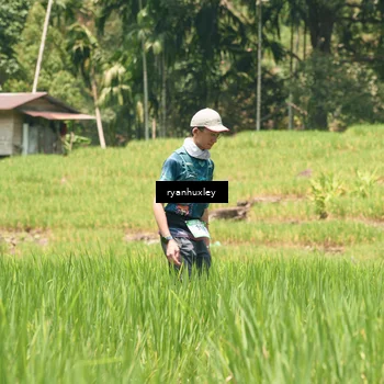 Runner Photo 5193513