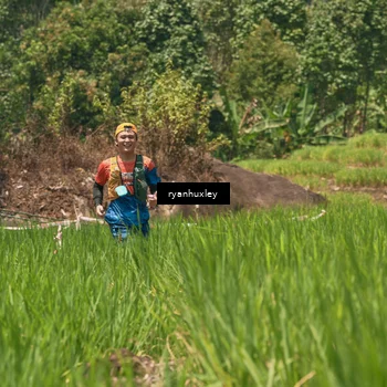 Runner Photo 5193824
