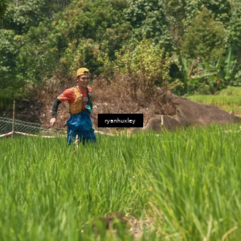 Runner Photo 5193825