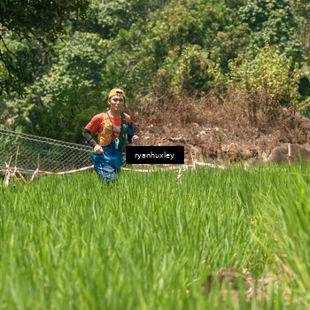 Runner Photo 5193833