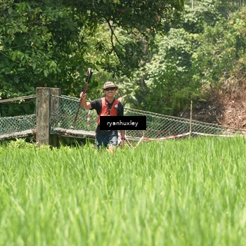 Runner Photo 5193997