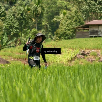 Runner Photo 5194255