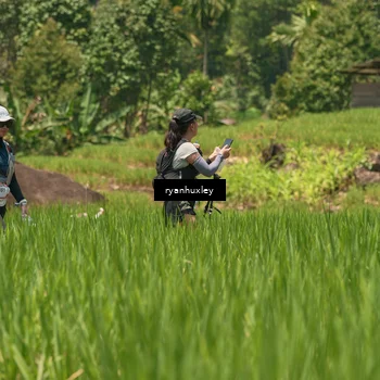 Runner Photo 5194364