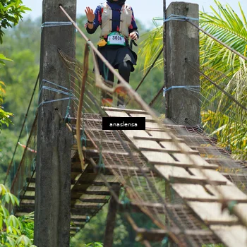 Runner Photo 5194848