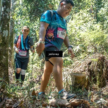 Runner Photo 5195070