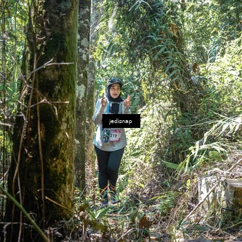Runner Photo 5195357