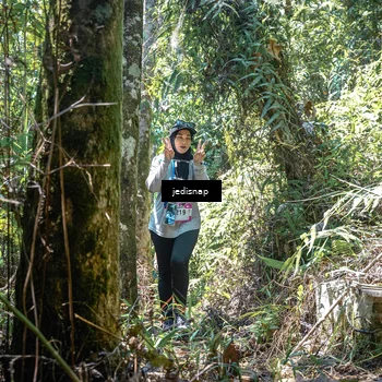 Runner Photo 5195365