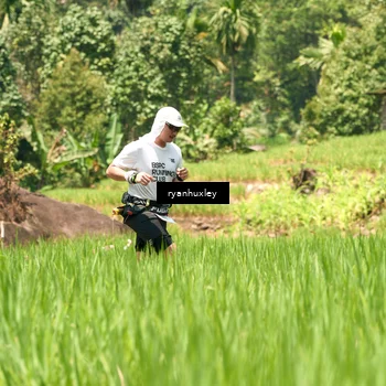 Runner Photo 5195370
