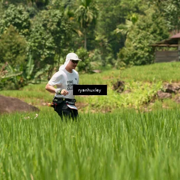 Runner Photo 5195392