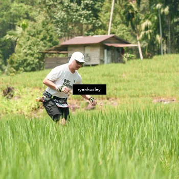 Runner Photo 5195402