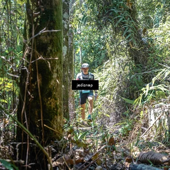 Runner Photo 5195418