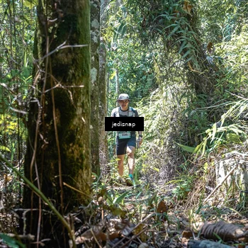 Runner Photo 5195424