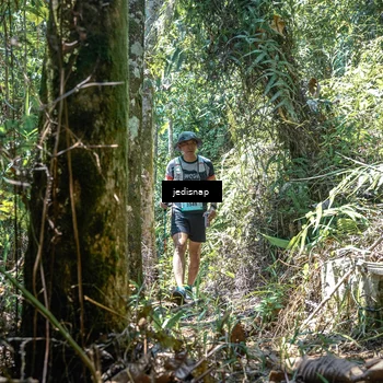 Runner Photo 5195429