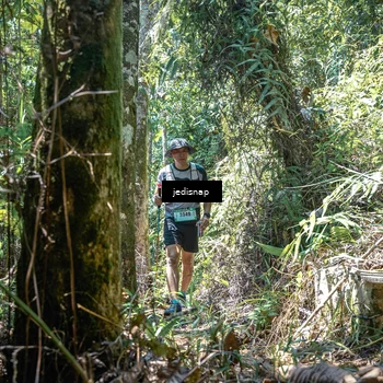 Runner Photo 5195430